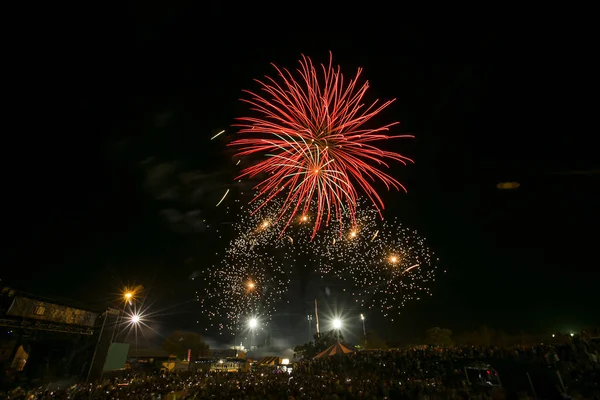 Night Fireworks Green Yellow Red Pyrotechnics — Stock Photo, Image