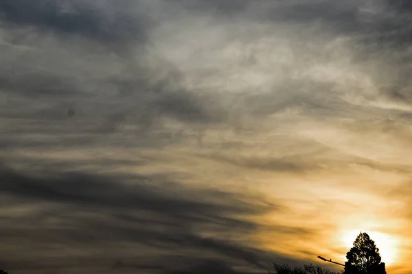 Primo Piano Alberi Con Tramonto Sullo Sfondo — Foto Stock