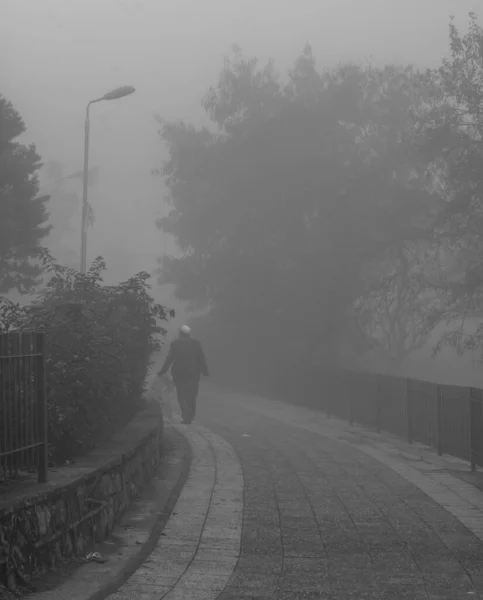 Les Gens Marchant Sur Route Couverte Brouillard Entourée Grands Arbres — Photo