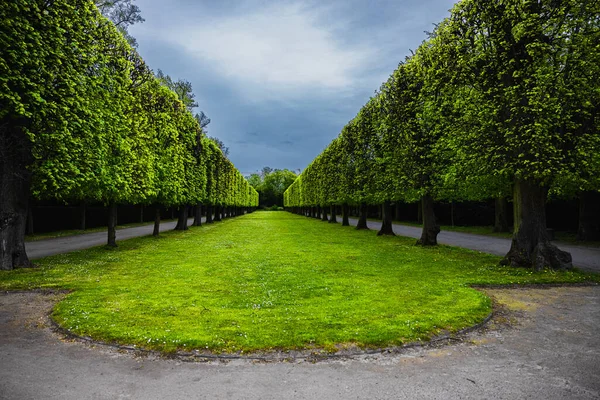 Landscape Pathways Park Covered Greenery Cloudy Sky — Stock Photo, Image