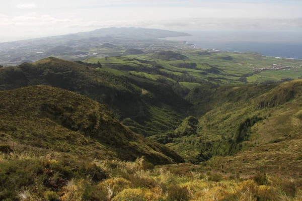 Kasvetli Bir Günde Yeşil Çimen Çalılarla Kaplı Tepelerin Manzarası — Stok fotoğraf