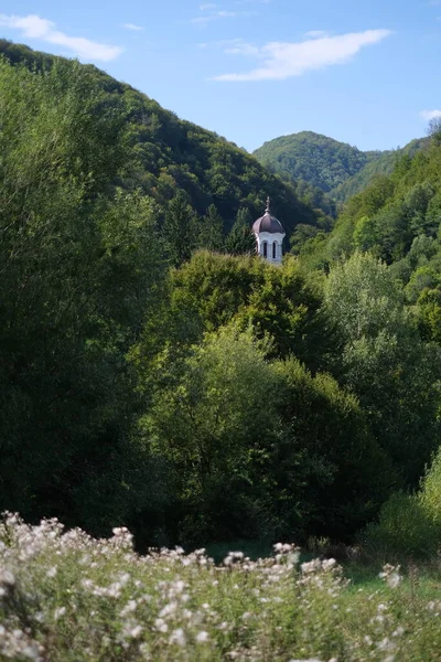 Dağlardaki Ormandaki Bir Kilise Kulesinin Ters Çevrilmiş Görüntüsü — Stok fotoğraf