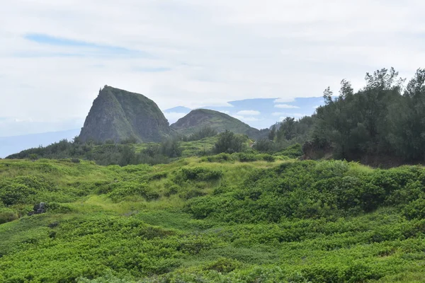 Beautiful Shot Green Field Mountains Maui Hawaii — Stock Photo, Image
