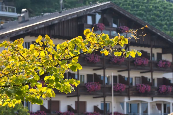 Brach Autumn Tree Building Background South Tyrol — Stock Photo, Image