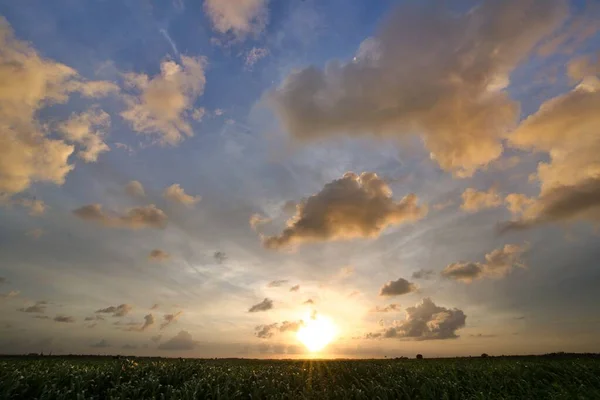 Cielo Nublado Atardecer Sobre Prado Verde — Foto de Stock