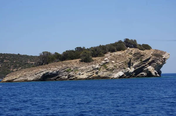 Belle Île Grenouille Rocheuse Sur Eau Grèce — Photo