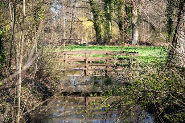 一座隐藏的田园诗般的浪漫的桥 跨越公园中植物中间的水体 — 图库照片
