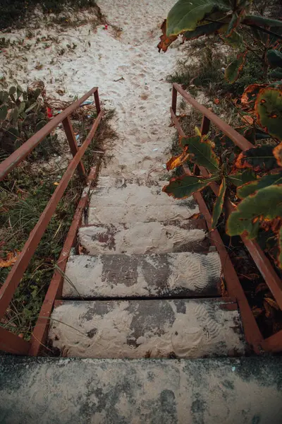 Kumla Kaplı Bir Bahçede Merdivenlerin Dikey Görüntüsü — Stok fotoğraf