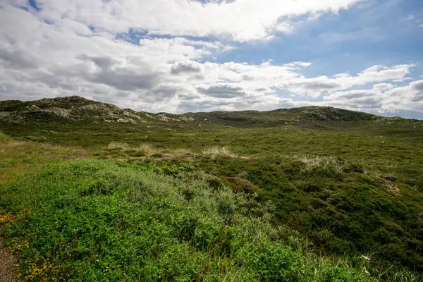 Een Panoramisch Uitzicht Groene Heuvels Met Planten Met Een Bewolkte — Stockfoto