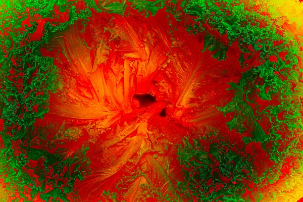 Teljes Keret Makró Closeup Saláta Zöld Saláta Levelek Rendezett Dekoratív — Stock Fotó