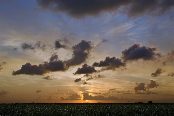 A cloudy sunset sky over a green meadow in Miami, USA
