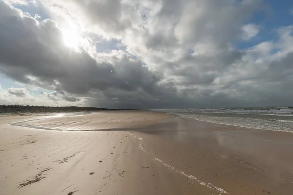 Een Prachtig Shot Van Een Zandstrand Onder Een Blauwe Lucht — Stockfoto