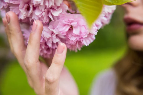 Ytlig Fokusbild Hona Som Luktar Sakura — Stockfoto