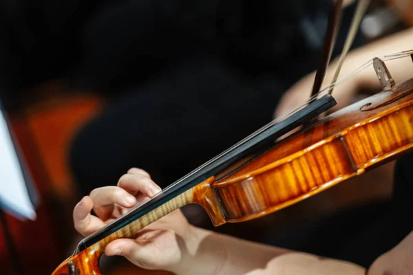 Close Tiro Mulher Entranhando Violino — Fotografia de Stock