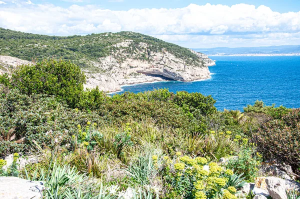 Vzdušný Pohled Ostrov Pokrytý Zelení — Stock fotografie