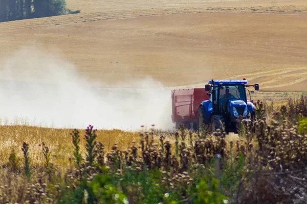 Июле Пришло Время Собирать Урожай Комбайн Трактор Начинают Собирать Зерно — стоковое фото