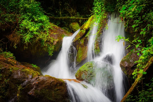 Closeup Shot Waterfall Flowing Forest — Stock Photo, Image