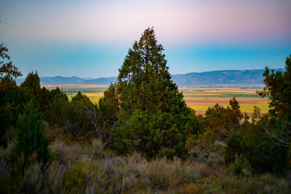 Smukt Skud Klippefyldte Bjerge Montana Enebærtræer - Stock-foto