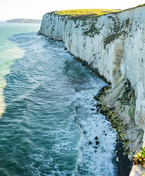 Underbar Solig Dag Purbeck Heritage Coast Swanage Storbritannien Med Låga — Stockfoto