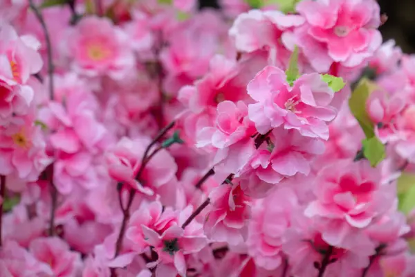 Крупный План Искусственных Розовых Цветов Саду Ярким Солнечным Светом — стоковое фото