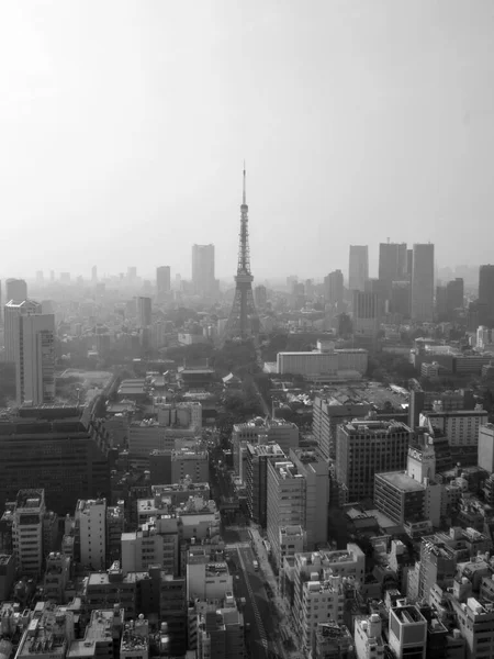 Plano Vertical Torre Tokio Minato Japón Escala Grises — Foto de Stock