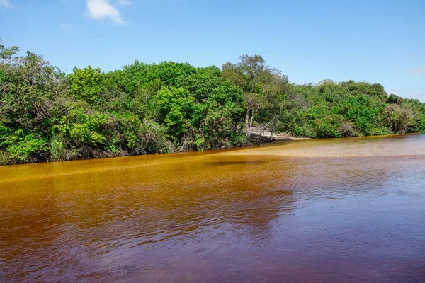 Piękny Widok Płynącą Rzekę Otoczony Zielenią Brazylii — Zdjęcie stockowe