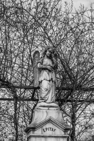 Tiro Tons Cinza Uma Estátua Anjo Contra Árvores Sem Folhas — Fotografia de Stock