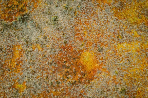 Uma Foto Aérea Drone Das Texturas Uma Paisagem Pântano — Fotografia de Stock
