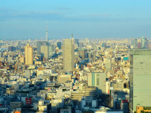 Staden Tokyo Solig Dag — Stockfoto