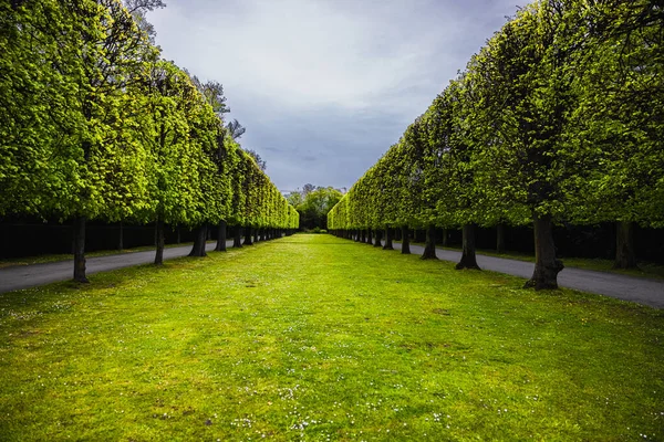 Paisaje Senderos Parque Cubierto Vegetación Bajo Cielo Nublado —  Fotos de Stock