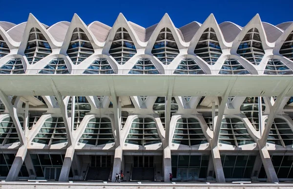 Valencia, İspanya 'daki Museu de les Ciencies Principe Felipe