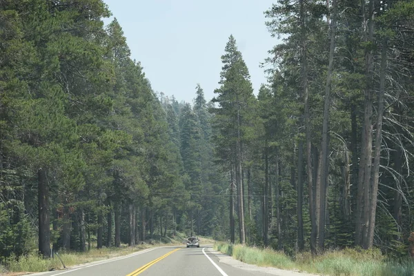 Droga Lesie Prowadząca South Lake Tahoe Usa — Zdjęcie stockowe
