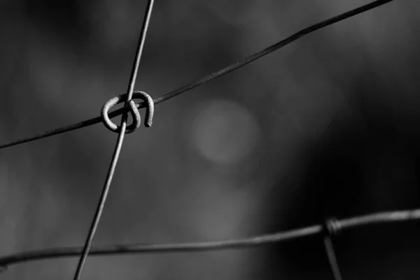 철조망을 — 스톡 사진