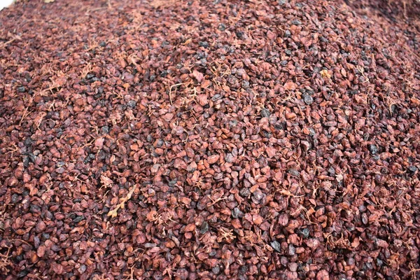 Primer Plano Detalles Pieles Uva Vino Tinto Trituradas Una Bodega — Foto de Stock