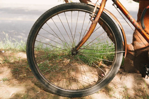 Tiro Close Uma Roda Bicicleta — Fotografia de Stock