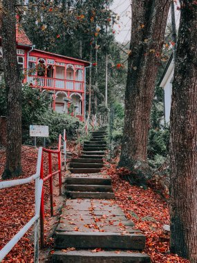 Romanya 'nın Brüksel kentinde terk edilmiş evlere giden yolun dikey çekimi