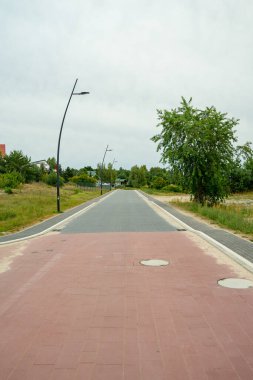 Polonya 'nın Swornegat plajına giden ağaçlarla dolu güzel bir yol manzarası.