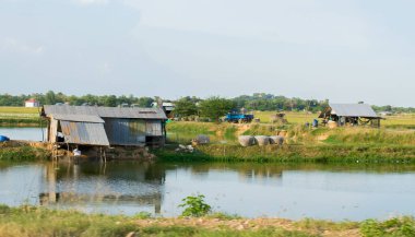Suya yakın, Phnom Penh, Kamboçya, Asya 'ya yakın tarlaları gösteren bir tarım arazisi..
