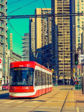 Toronto, Kanada 'daki Transit Komisyonu otobüsü