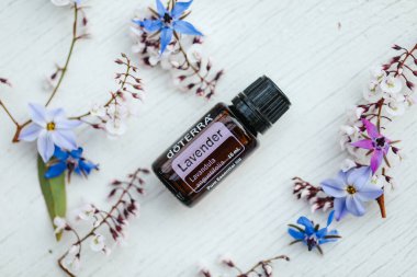 Illustrative editorial image of Doterra Essential oil