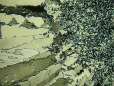 Polarize ışık mikroskobu altında sıvı kristal deseni