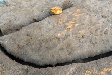 İsrail 'deki Ölü Deniz' de sahilin manzaralı bir görüntüsü.