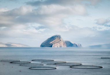 Faroe Adaları 'ndaki balık çiftliğinin manzarası