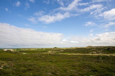 Çimlerin manzarası ve bulutlu gökyüzü