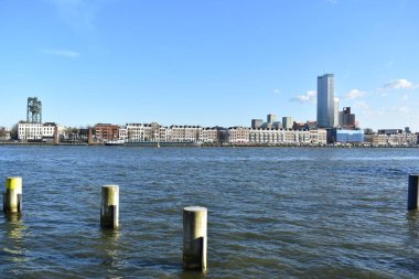 Hollanda, Rotterdam 'daki binalara güzel bir deniz manzarası