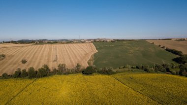 Gökyüzünün altındaki büyük yeşil bir arazinin güzel manzarası.
