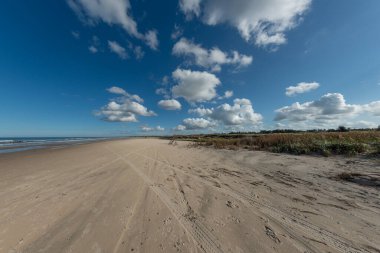 Güneşli bir günde mavi bulutlu bir gökyüzünün altında kumlu bir plajın güzel bir görüntüsü.