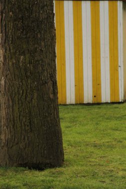 Arka planda çizgili bir duvarı olan bir ağacın dikey görüntüsü.