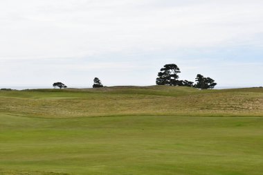 Bandon Dunes, Oregon 'da arka planda deniz çamları olan bir golf sahası.