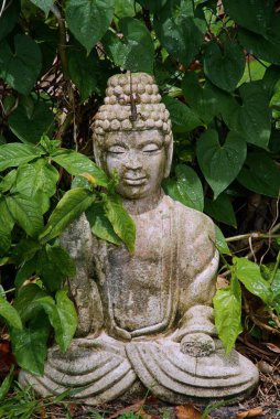 Kafasında kertenkele olan bir Buda heykelinin dikey görüntüsü.